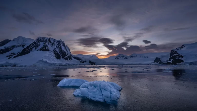 Antarctica’s Mystery: Scientists Investigate Disappearance of Argentina-Sized Sea Ice