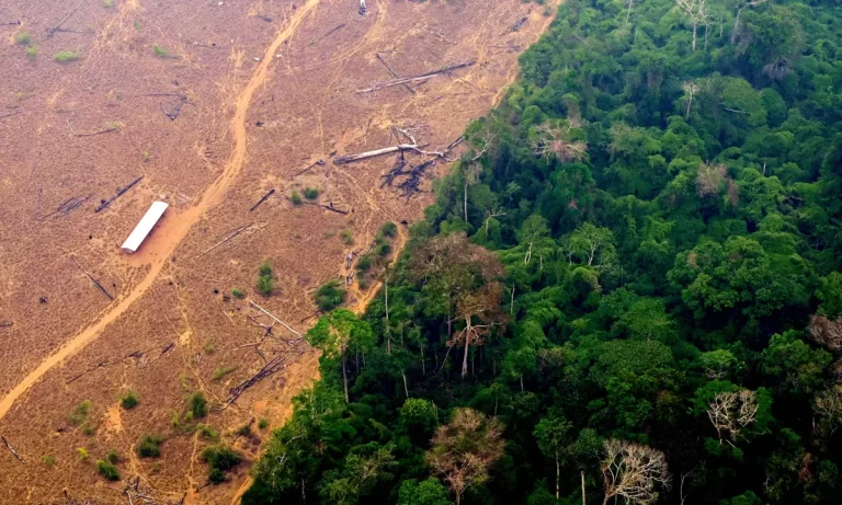 Amazon Nations Miss Agreed Goal to Halt Deforestation