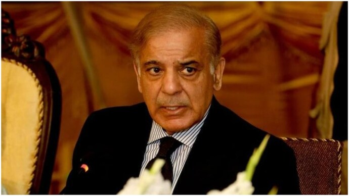 Supreme Court Verdict Will Not Impede Nawaz Sharif, Says PM Shehbaz