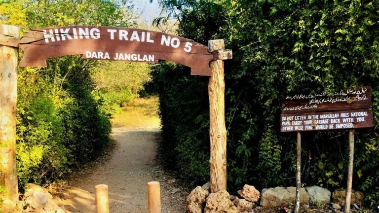 Teenager Reported Missing While Hiking Found Dead on Trail 5